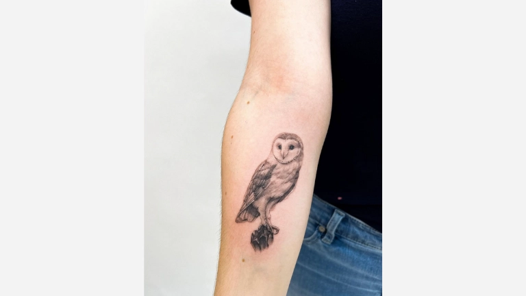 Barn Owl Tattoos