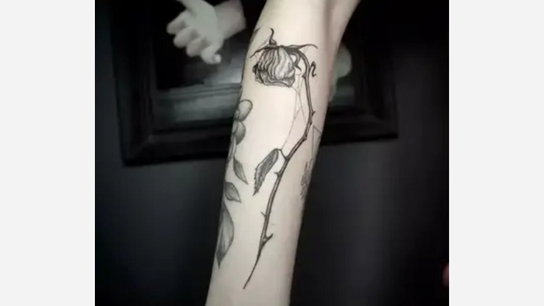 Dead Rose Tattoo