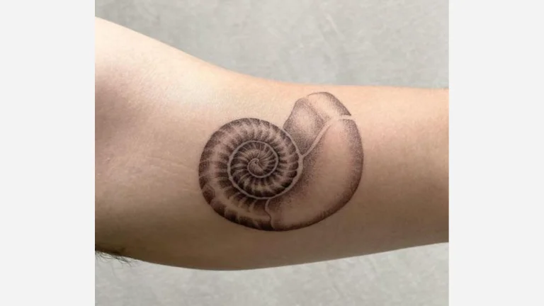 Seashell Tattoo