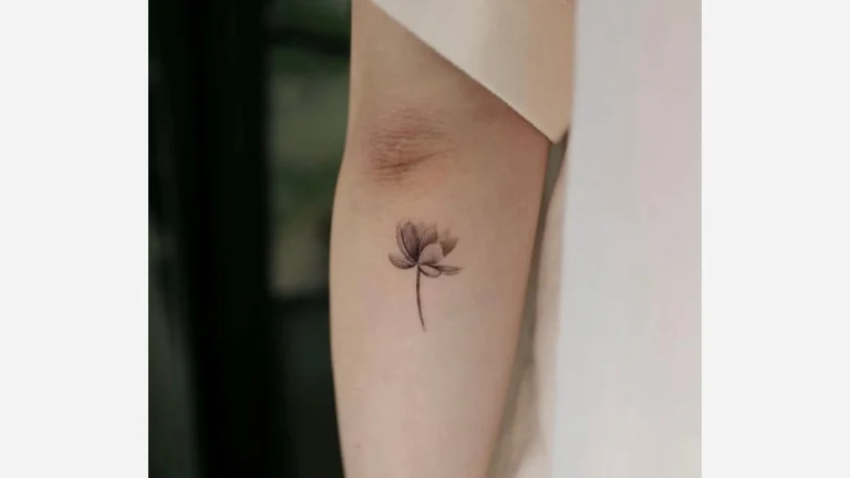 Tiny Lotus Flower