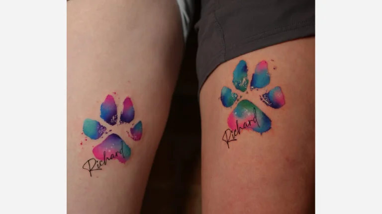 Paw Prints