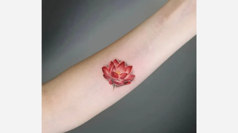 Realistic Lotus Flower
