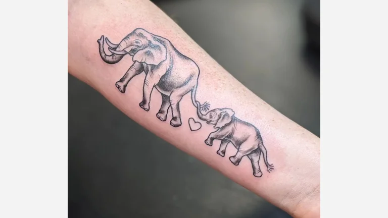 Elephants