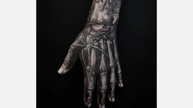 Realistic Skeleton
