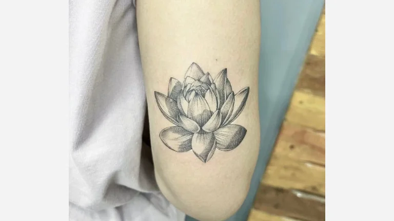 Bold-Lined Lotus Flower
