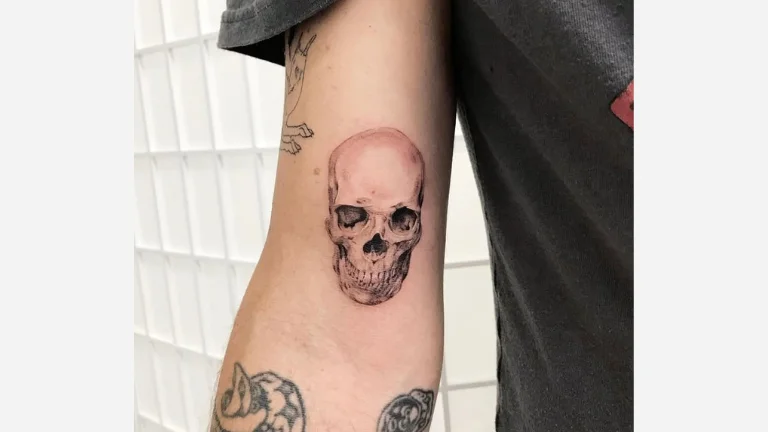 Human Skull 