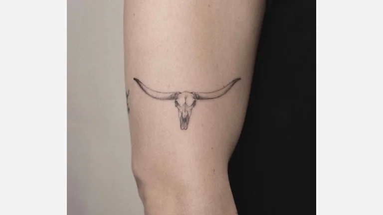Longhorn Skull